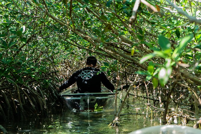 Guided Clear Kayak Eco-Tour Near Key West - Sugarloaf Key’s protected backcountry
