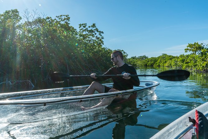 Guided Clear Kayak Eco-Tour Near Key West - Wildlife: exciting possibilities, no promises