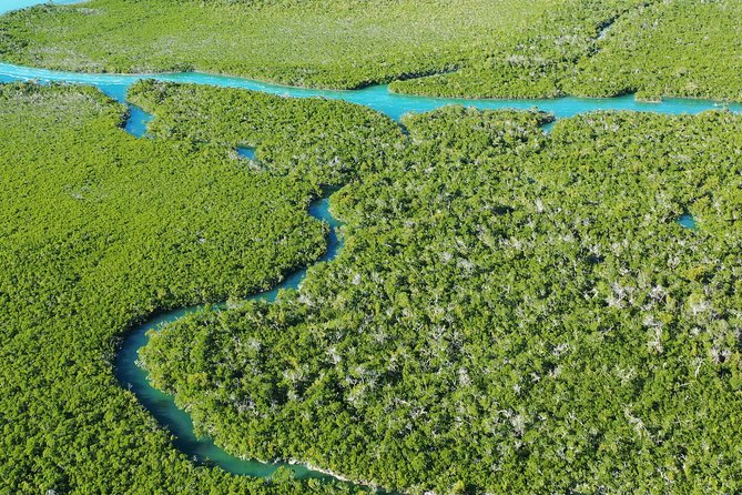Guided Clear Kayak Eco-Tour Near Key West - The guides shape the whole experience