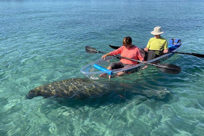 Guided Clear Kayak Eco-Tour of Jupiter - Key points to know before you paddle