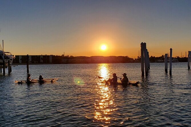 Guided Clear Kayak Eco-Tour of Jupiter - Exploring the Indian River Lagoon and sandbar
