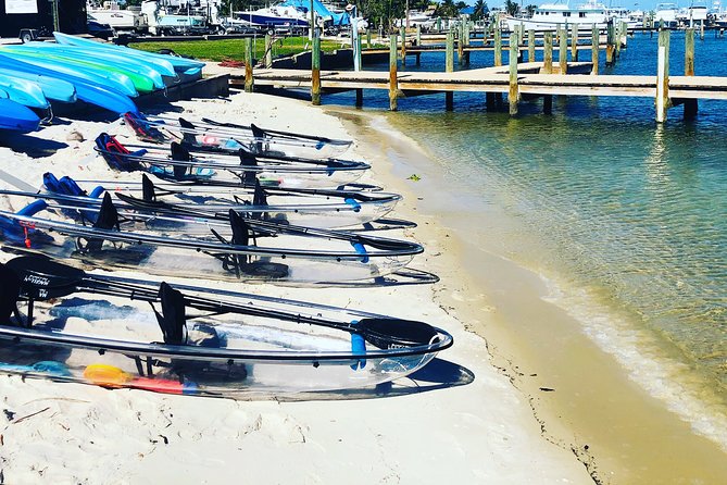 Guided Clear Kayak Eco-Tour of Jupiter - What the clear kayak adds to the $89 price