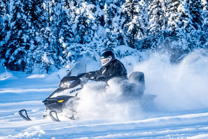 Guided Fairbanks Snowmobile Tour - What the $169 price buys you near Fairbanks
