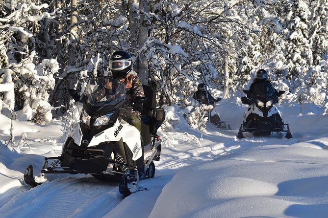 Guided Fairbanks Snowmobile Tour - Wildlife and the quiet side of the ride