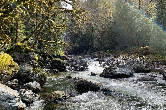 Guided forest hike to Seattle waterfalls incl. Snoqualmie Falls - Snoqualmie Falls from several viewpoints
