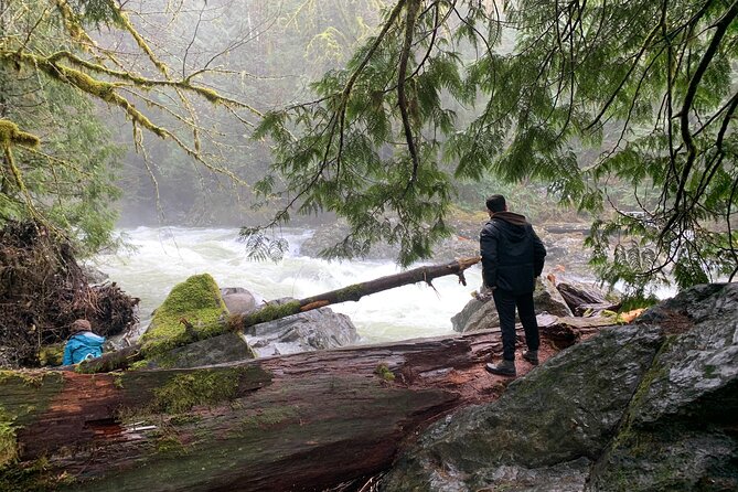 Guided forest hike to Seattle waterfalls incl. Snoqualmie Falls - The drive across Lake Washington