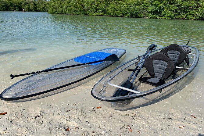 Guided Island EcoTour: CLEAR/Standard Kayak, SUP - Bonita Springs - Wildlife watching without false promises