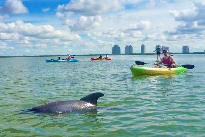 Guided Island EcoTour: CLEAR/Standard Kayak, SUP - Bonita Springs - Who should book this Bonita Springs paddle?