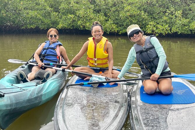 Guided Island EcoTour: CLEAR/Standard Kayak, SUP - Bonita Springs - Paddling into the mangroves