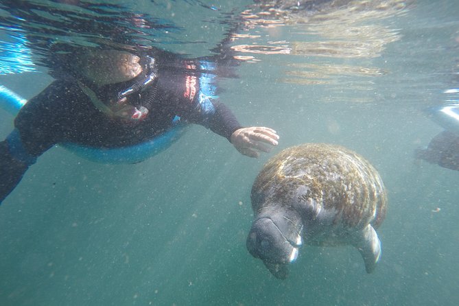 Guided Small Group Manatee Snorkeling Tour with In-Water Photographer - Quick takeaways