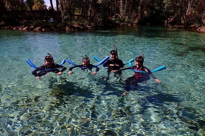 Guided Small Group Manatee Snorkeling Tour with In-Water Photographer - Why Crystal River is special for manatee watching