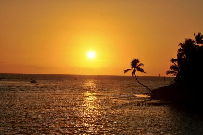 Gulf of Mexico Sunset Cruise from Naples - Quick points before you book