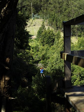 Haleakala 6 Line Zipline Adventure - Who should book this Haleakala outing?