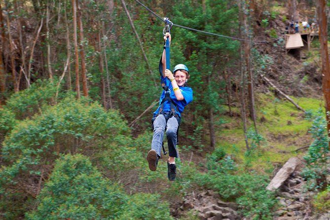 Haleakala 6 Line Zipline Adventure - Wooden bridges and forest walks between the lines