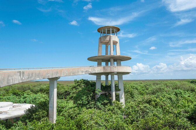 Half-day Everglades National Park Tour and 1-Hour Air Boat Ride - Key things to know before you book