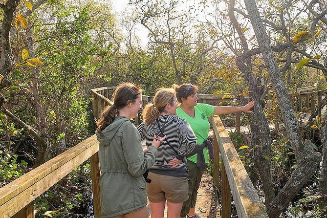 Half-day Everglades National Park Tour and 1-Hour Air Boat Ride - The Tamiami Trail adds the missing big picture