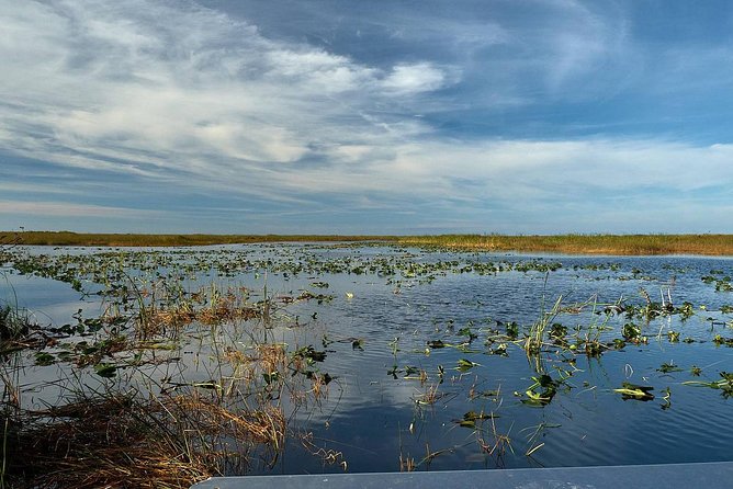 Half-day Everglades National Park Tour and 1-Hour Air Boat Ride - What is included, and what you should pack