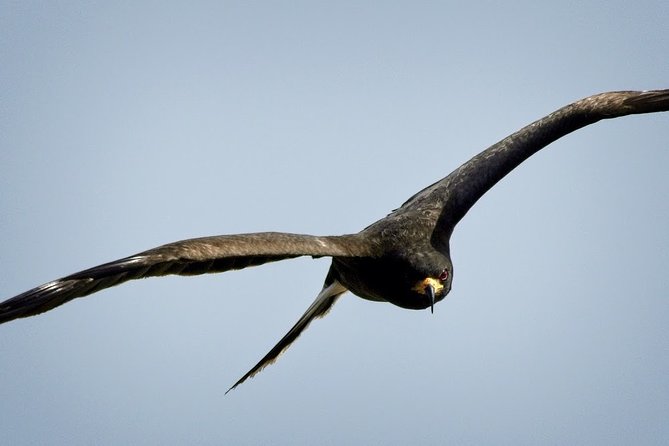 Half-day Everglades National Park Tour and 1-Hour Air Boat Ride - The main drawback is the uncertain return time