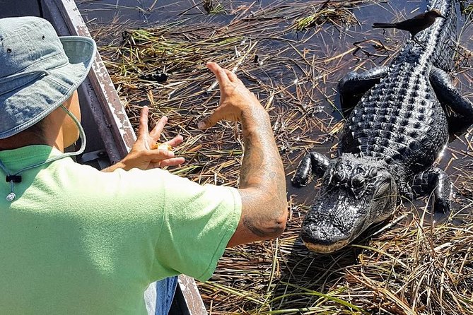 Half-day Everglades National Park Tour and 1-Hour Air Boat Ride - Walking through the national park for about two hours