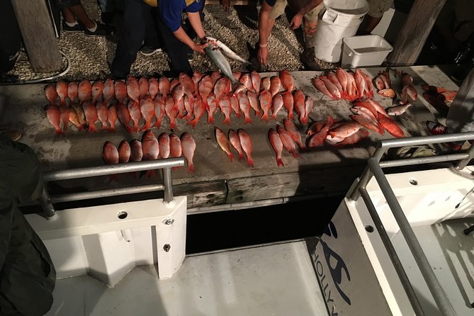 Half-Day Fishing Trip in Fort Lauderdale - What you may catch at each fishing stop
