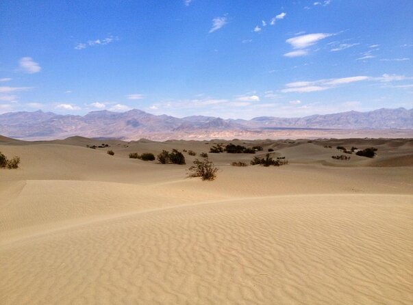 Half-Day Mojave Desert ATV Tour from Las Vegas - Riding the private Mojave track