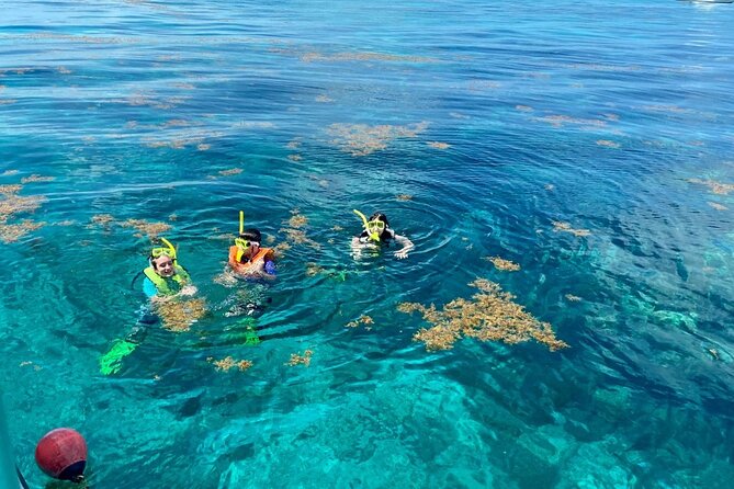 Half Day Snorkel Trip on Reefs in the Florida Keys - Florida Keys National Marine Sanctuary and John Pennekamp