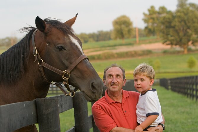 Half-Day Thoroughbred Horse Farm Tour in Kentucky - Why Lexington is the right place for this tour