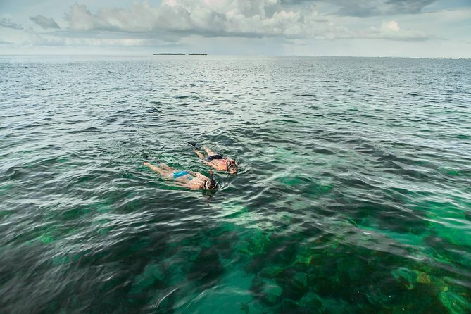 Half-Day Trip from Key West with Kayaking, Snorkeling & Sunset - Kayaking around mangrove islands
