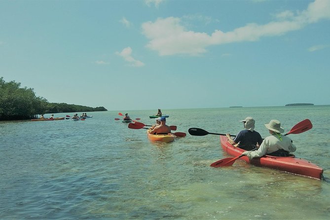 Half-Day Trip from Key West with Kayaking, Snorkeling & Sunset - Sailing out from 255 Front Street