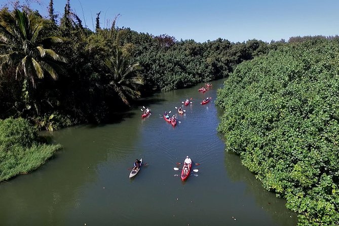 Hanalei Bay Morning Kayak and Snorkel Tour - A gentle paddle through the Hanalei River
