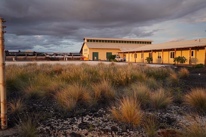 Hawaiian Salt Farm Tour in Kona - Who Will Enjoy the Salt Farm Most?