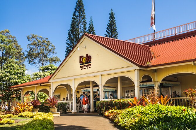 Hidden Gems of Oahu Circle Island Tour with Byodo In Temple - Sunset Beach, Pipeline, and the search for honu