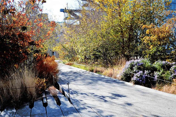 High Line and Chelsea Small Group Tour - Is $39 a fair price?