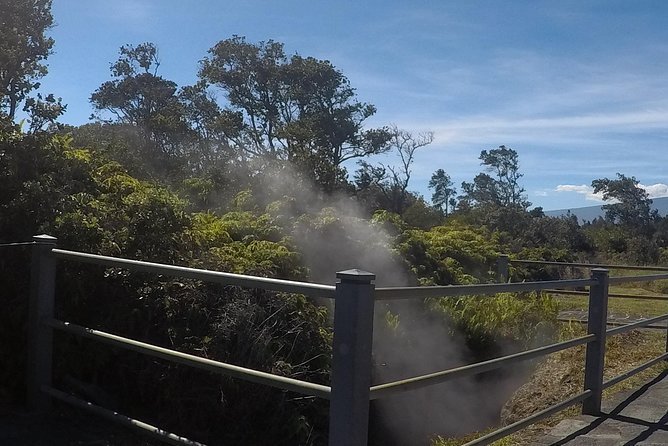 Hilo Shore Excursion: Volcanoes National Park & Black Sand Beach - Why This Tour Works for a Short Hilo Port Day