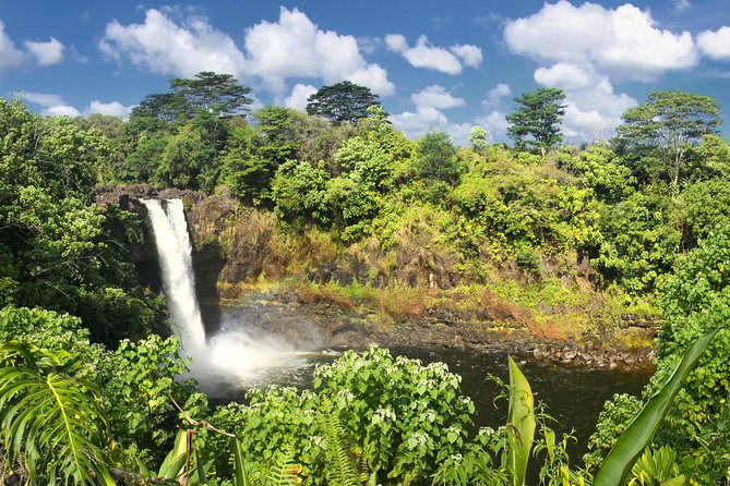 Hilo Shore Excursion: Volcanoes National Park & Black Sand Beach - Macadamia Orchards and Island Treats