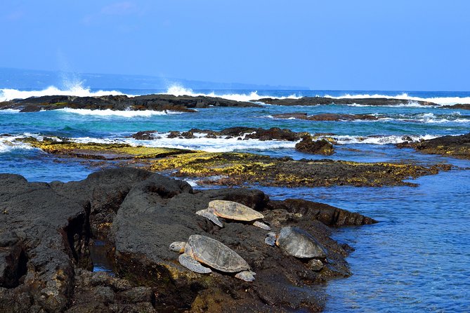 Hilo Shore Excursion: Volcanoes National Park & Black Sand Beach - Hilo Town, Japanese Gardens, and Changing Plans