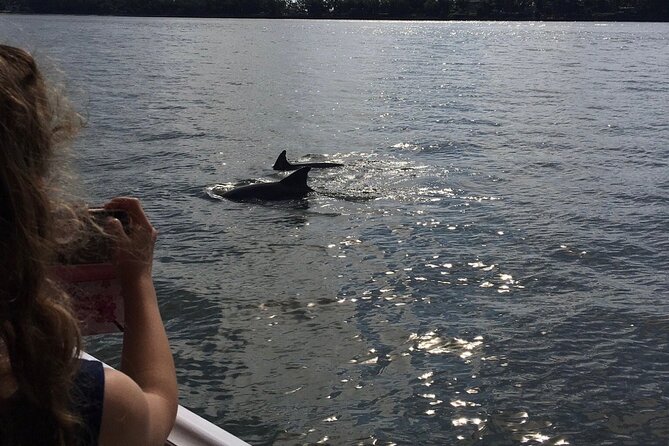 Hilton Head Island Dolphin Boat Cruise - Why the 90-minute length works well