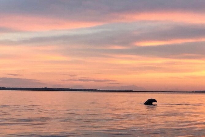 Hilton Head Island Dolphin Boat Cruise - The crew makes the difference