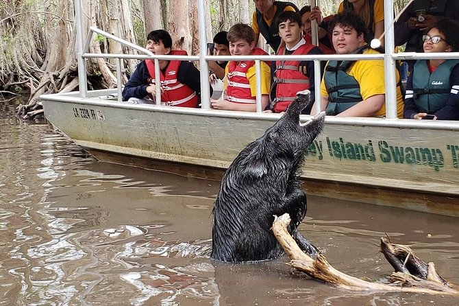 Honey Island Swamp Boat Tour - Why the guides matter so much
