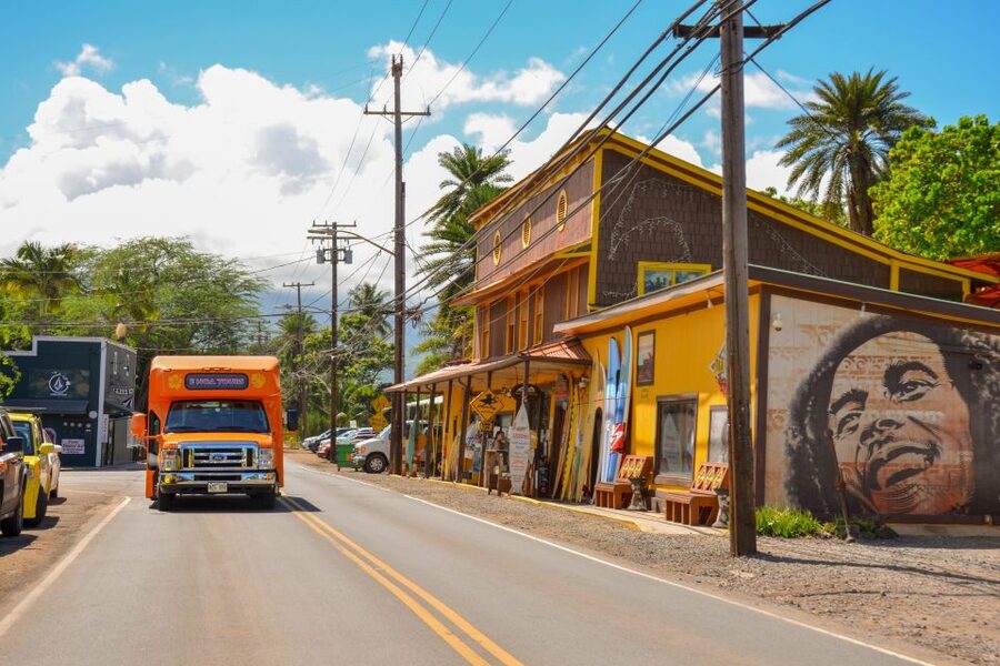 Honolulu: Oahu Island Full-Day Guided Tour by Bus with Lunch - Who will get the most from this full island day