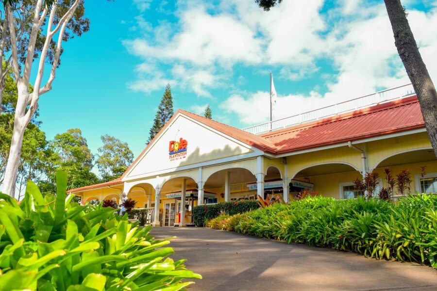 Honolulu: Oahu Island Full-Day Guided Tour by Bus with Lunch - Pickup points make the tour easy, with one important catch