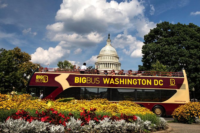 Hop-on Hop-off Sightseeing Tour by Open-top Bus with 18 Stops - Stops 5 through 9: museums, The Wharf, and serious subjects