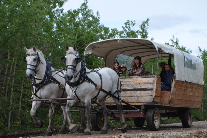 Horse-Drawn Covered Wagon Ride with Backcountry Dining - Is $112.25 a fair price?