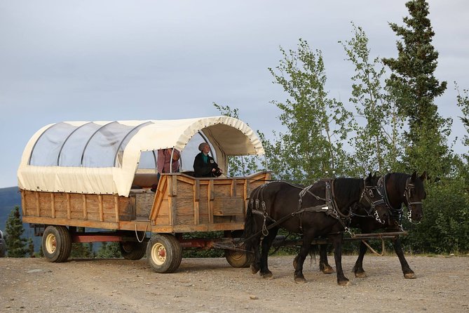 Horse-Drawn Covered Wagon Ride with Backcountry Dining - Who will enjoy this ride most?