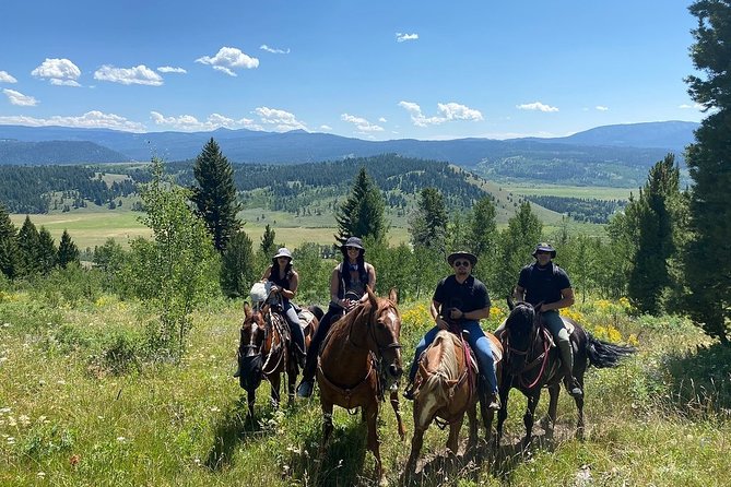 Horseback Riding with Grand Teton Views in Jackson Hole - Horses, Helmets, and Safety
