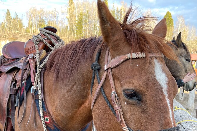 Horseback Riding with Grand Teton Views in Jackson Hole - Should You Book Horseback Riding with Grand Teton Views?