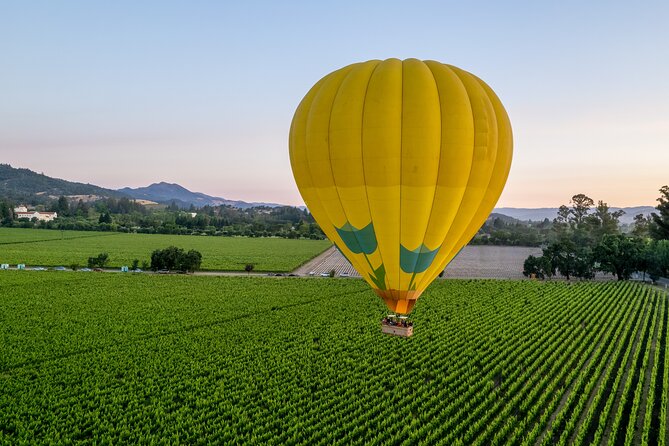 Hot Air Balloon Rides in Napa Valley - Soft landings, photos, and sparkling wine