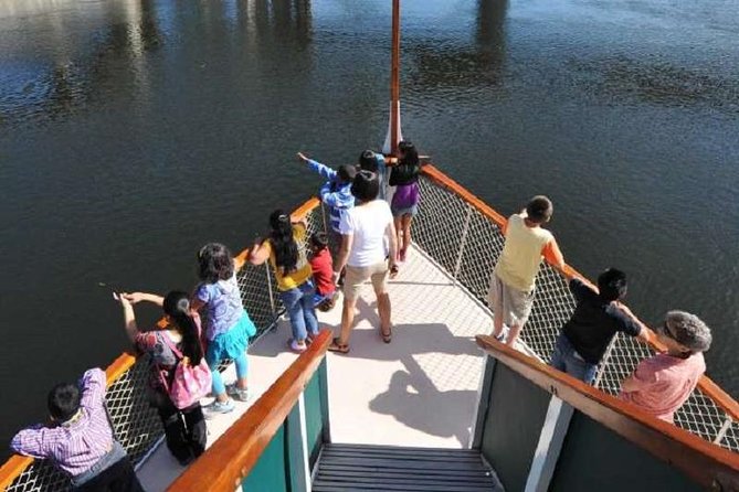Hudson River Sightseeing Cruise from Albany - Eagles and egrets are a welcome bonus