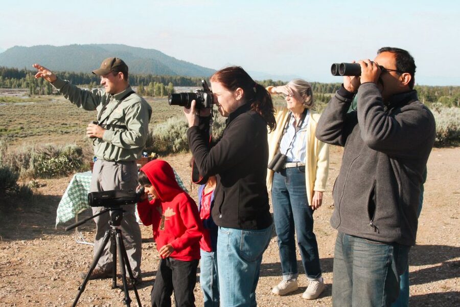 Jackson: Grand Teton National Park Guided Wildlife Tour - What the wildlife search really looks like
