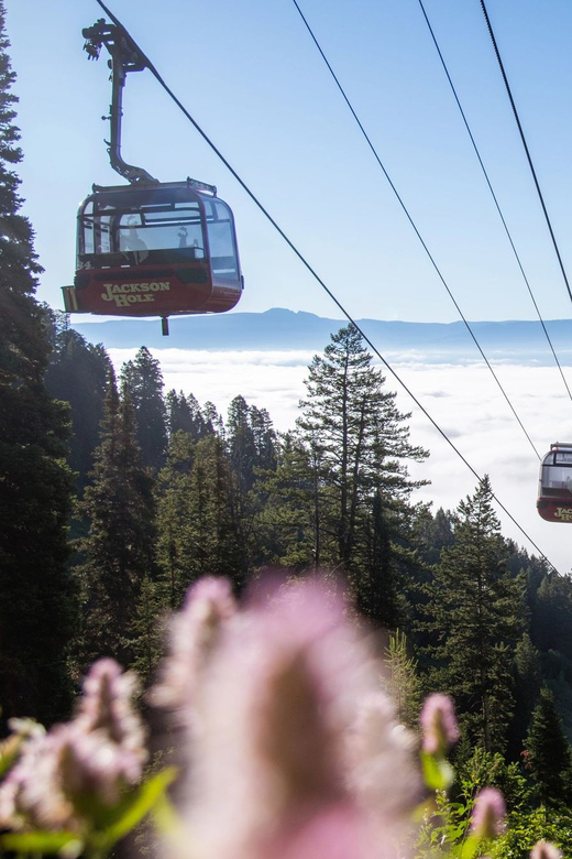 Jackson Hole: Aerial Tram and Gondolas Sightseeing - The Ride From Teton Village to Rendezvous Mountain
